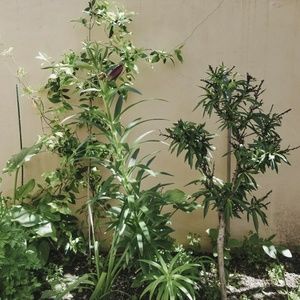 Meet your Posher, Deborah